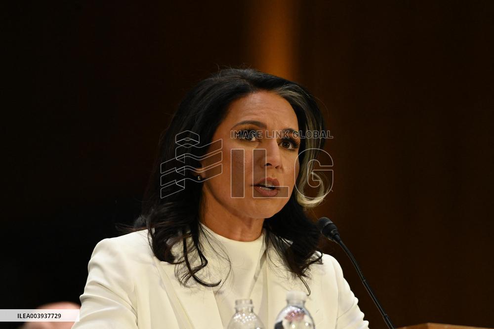 Tulsi Gabbard Confirmation Hearing