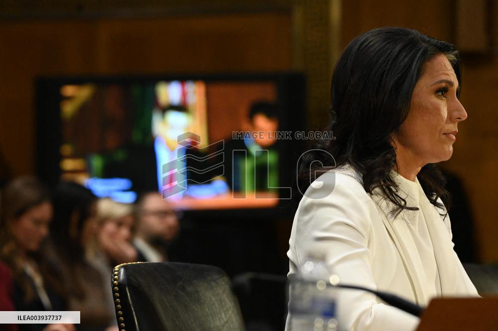 Tulsi Gabbard Confirmation Hearing