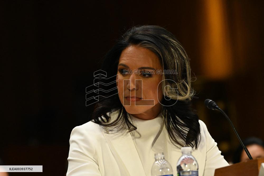 Tulsi Gabbard Confirmation Hearing