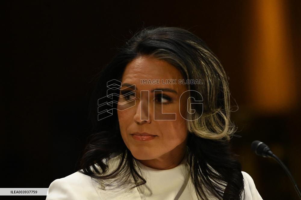 Tulsi Gabbard Confirmation Hearing