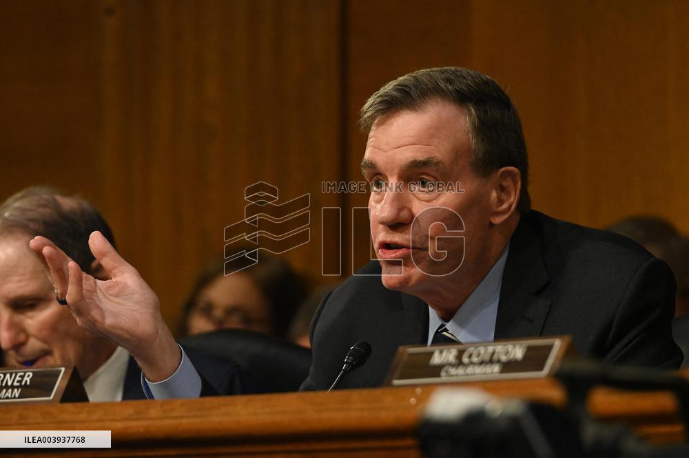 Tulsi Gabbard Confirmation Hearing