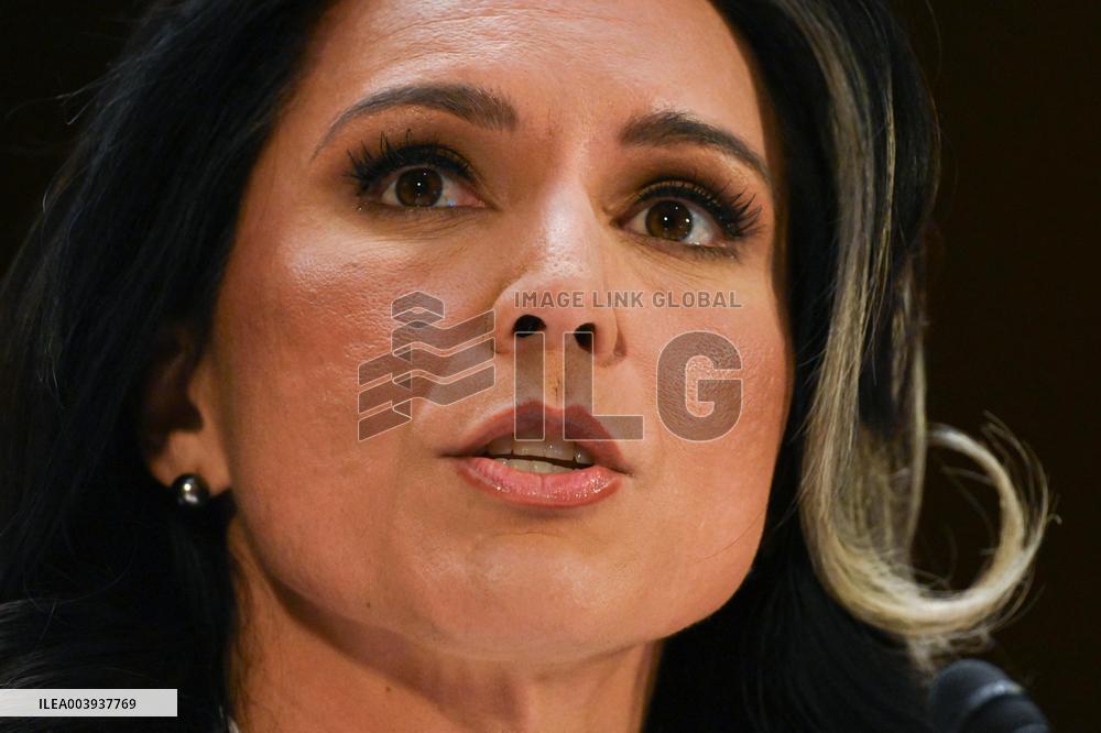 Tulsi Gabbard Confirmation Hearing