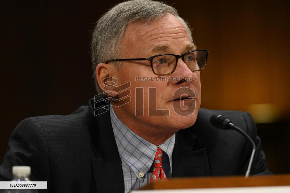 Tulsi Gabbard Confirmation Hearing