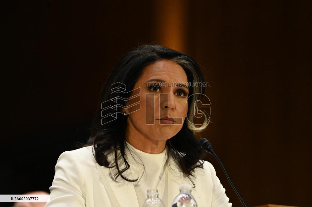 Tulsi Gabbard Confirmation Hearing