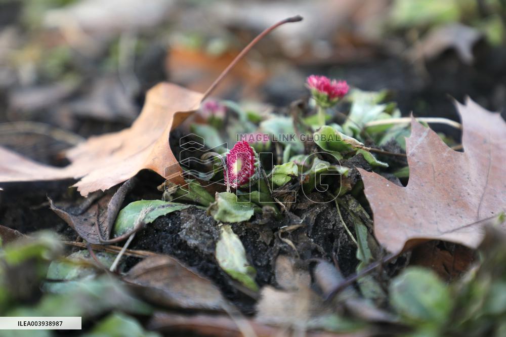 Abnormally warm weather in Kyiv