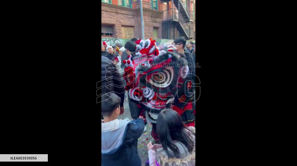 US: Chinese Communities Celebrate Arrival Of 2025 Lunar New Year 2