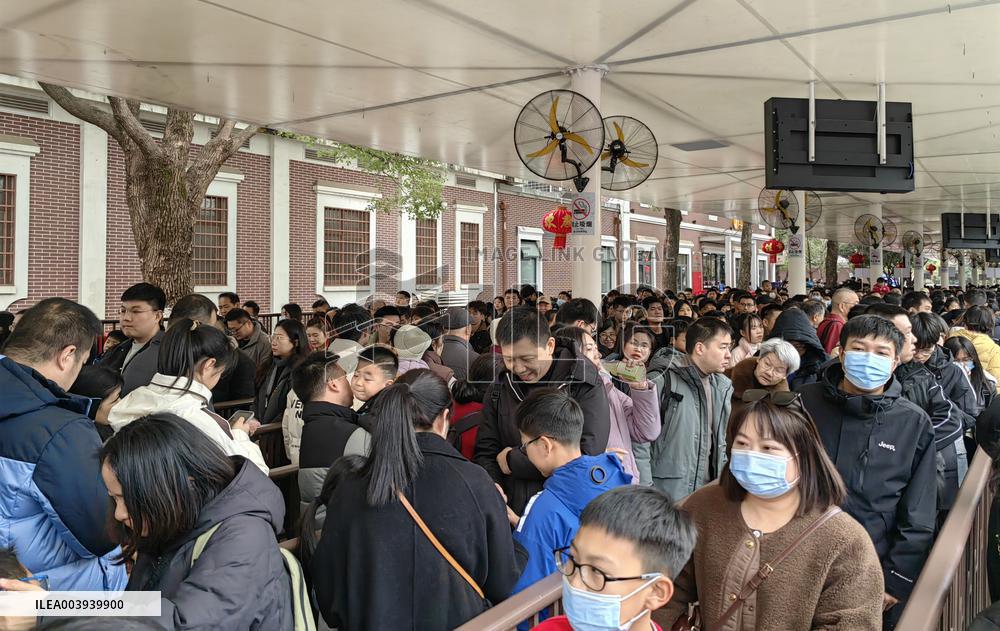 Spring Festival Holiday Tour in Changsha