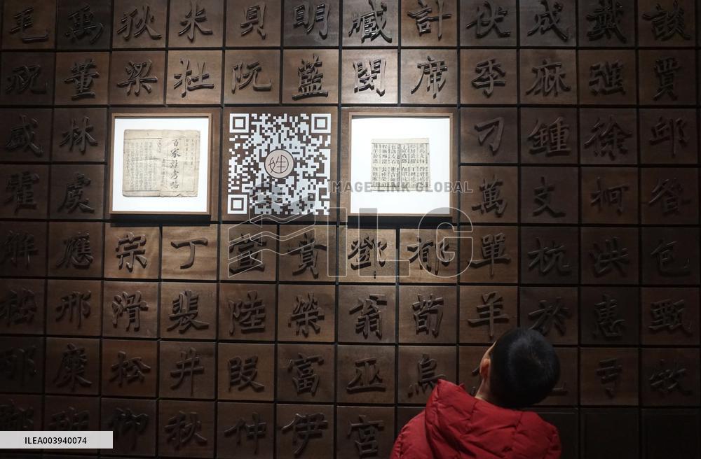 China National Archives of Publications and Culture
