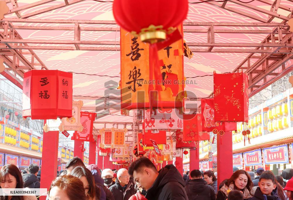 Spring Festival Holiday Tour in Qingdao