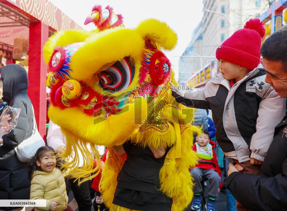 Spring Festival Holiday Tour in Qingdao