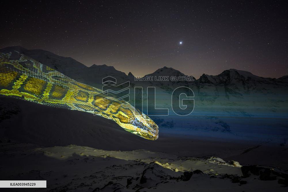 A Snake Projected On Pers Glacier - Switzerland