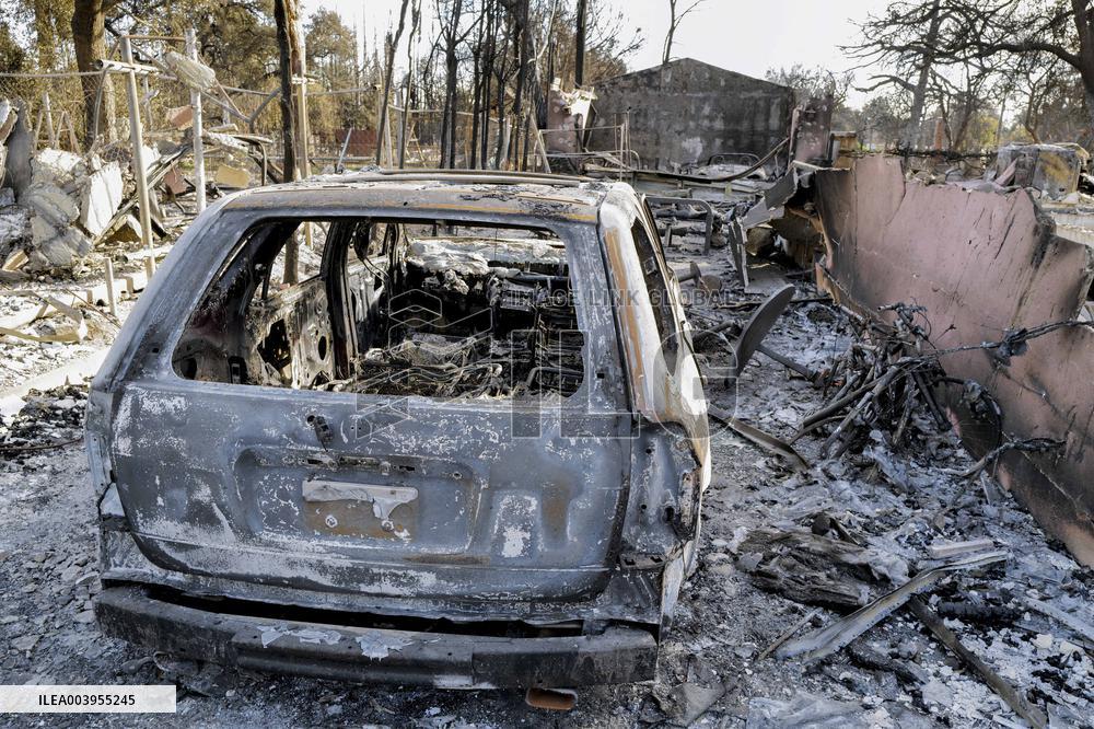 Aftermath of the Eaton Fire in Altadena