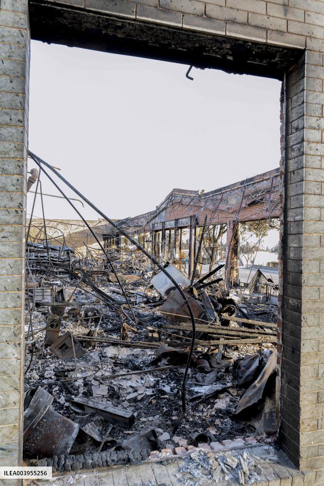 Aftermath of the Eaton Fire in Altadena