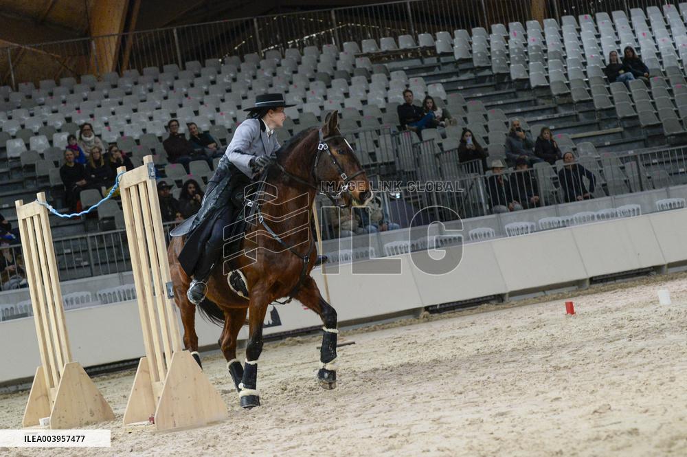 Cheval Passion 2025 - Avignon