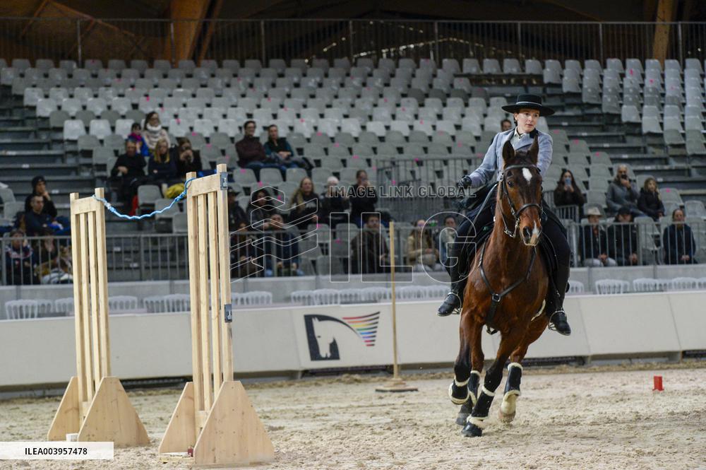 Cheval Passion 2025 - Avignon