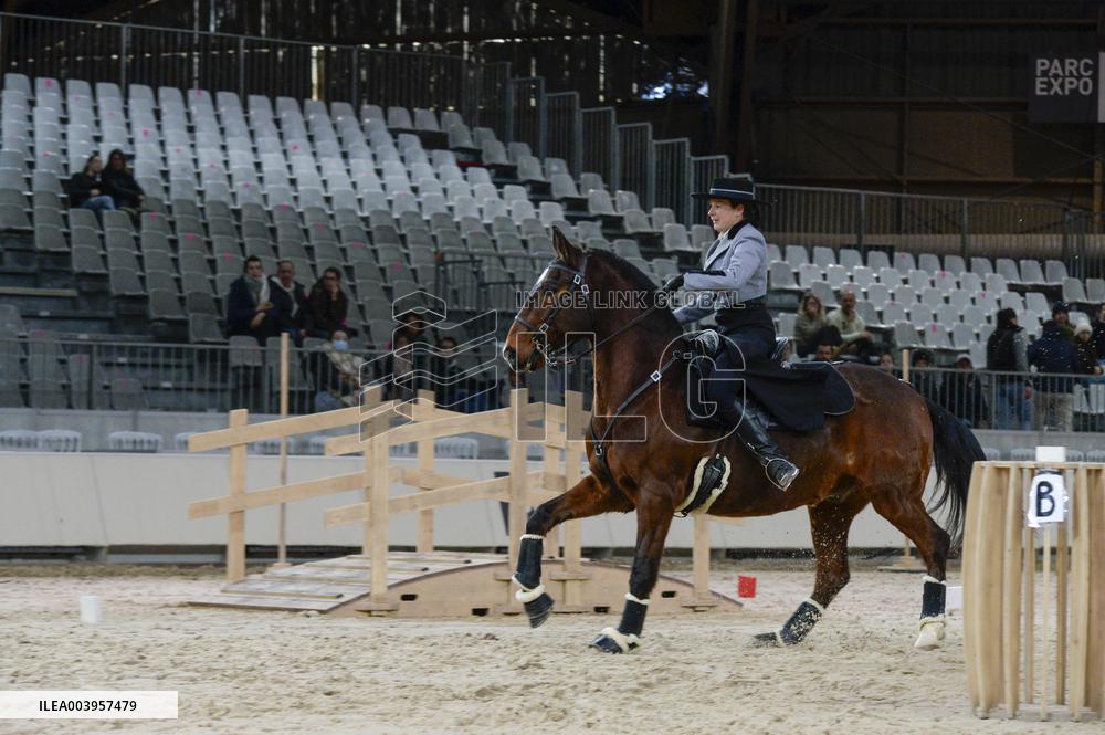 Cheval Passion 2025 - Avignon