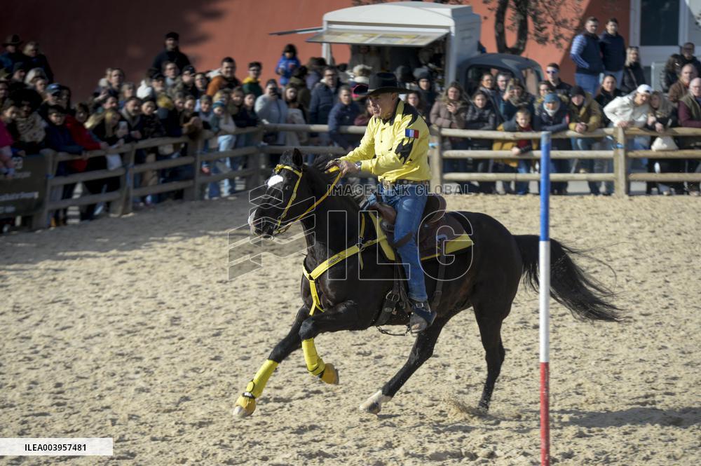 Cheval Passion 2025 - Avignon