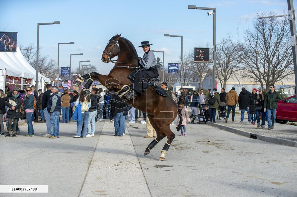 Cheval Passion 2025 - Avignon