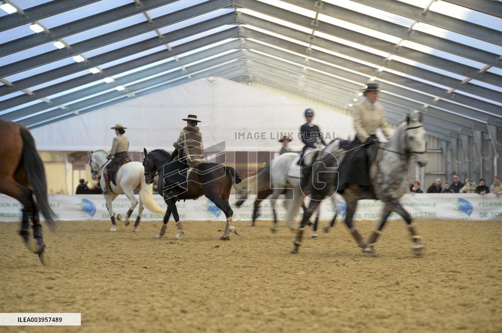 Cheval Passion 2025 - Avignon