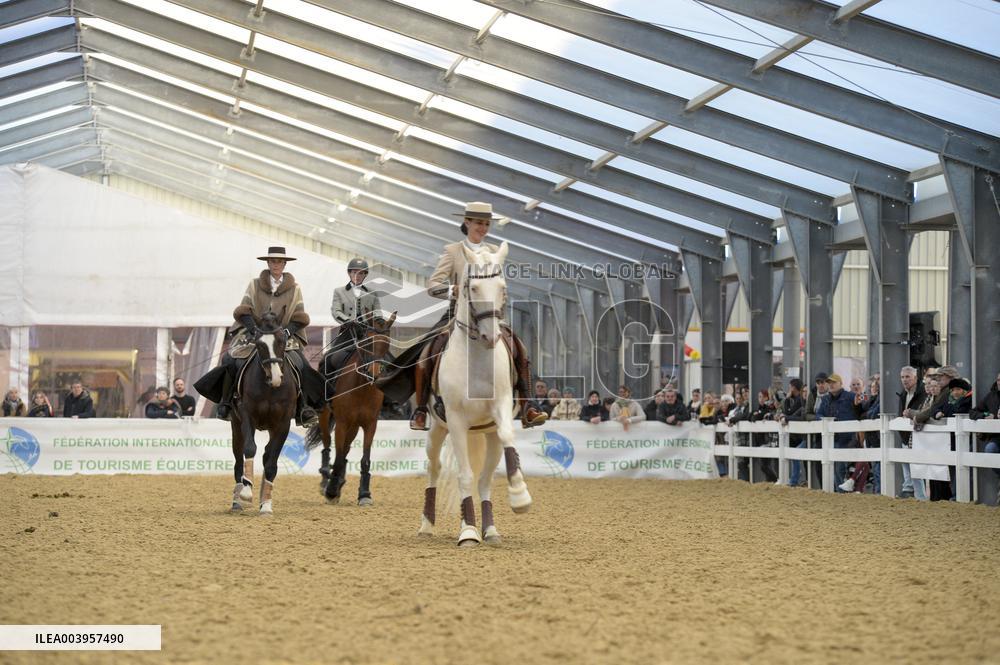 Cheval Passion 2025 - Avignon