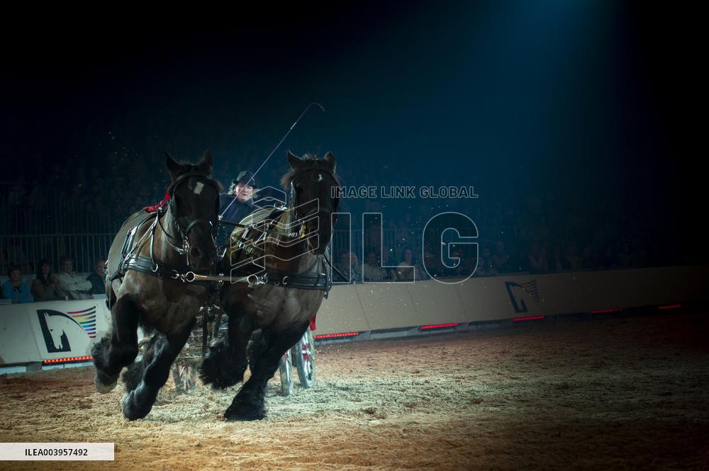 Cheval Passion 2025 - Avignon