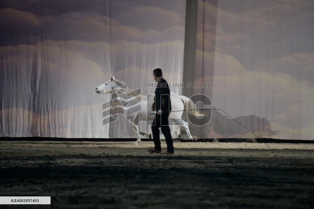 Cheval Passion 2025 - Avignon