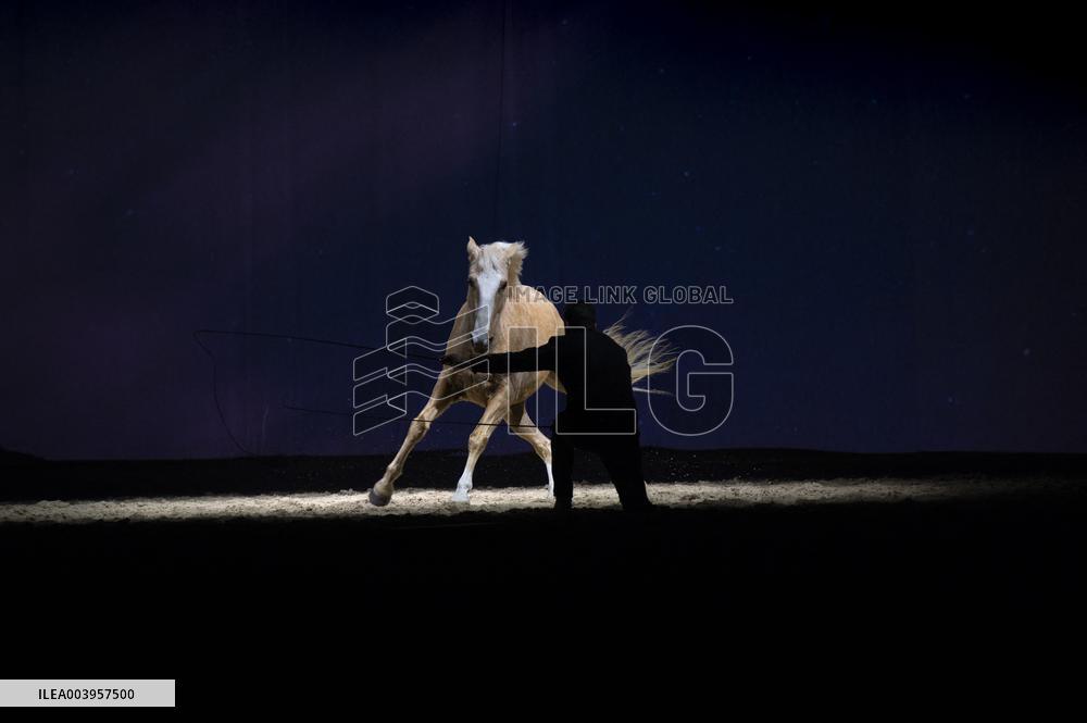 Cheval Passion 2025 - Avignon