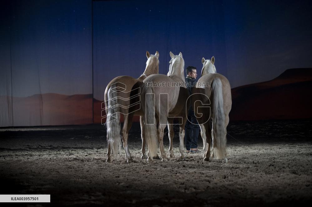 Cheval Passion 2025 - Avignon