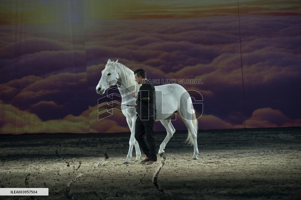 Cheval Passion 2025 - Avignon