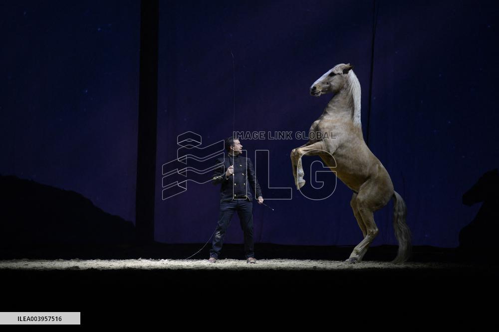 Cheval Passion 2025 - Avignon