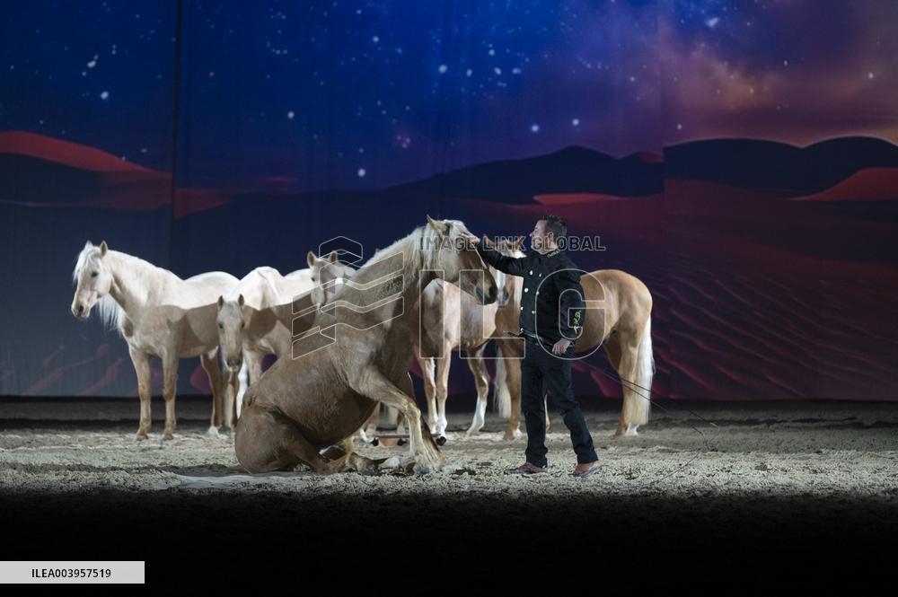 Cheval Passion 2025 - Avignon