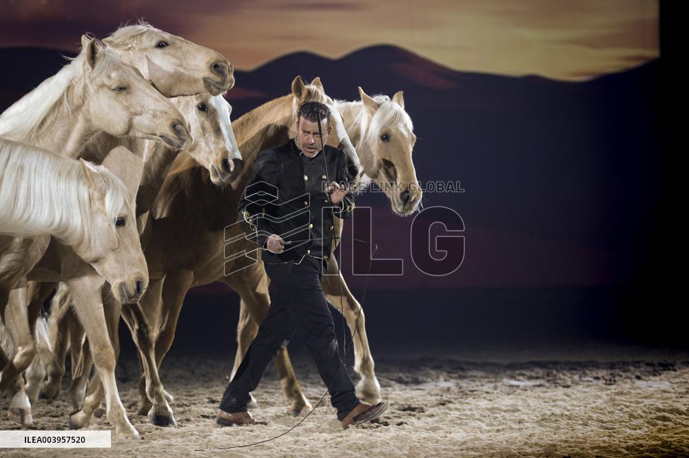 Cheval Passion 2025 - Avignon