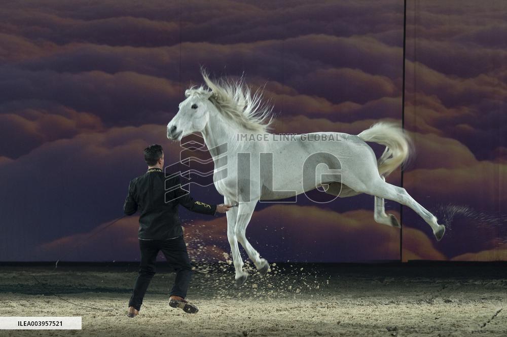 Cheval Passion 2025 - Avignon