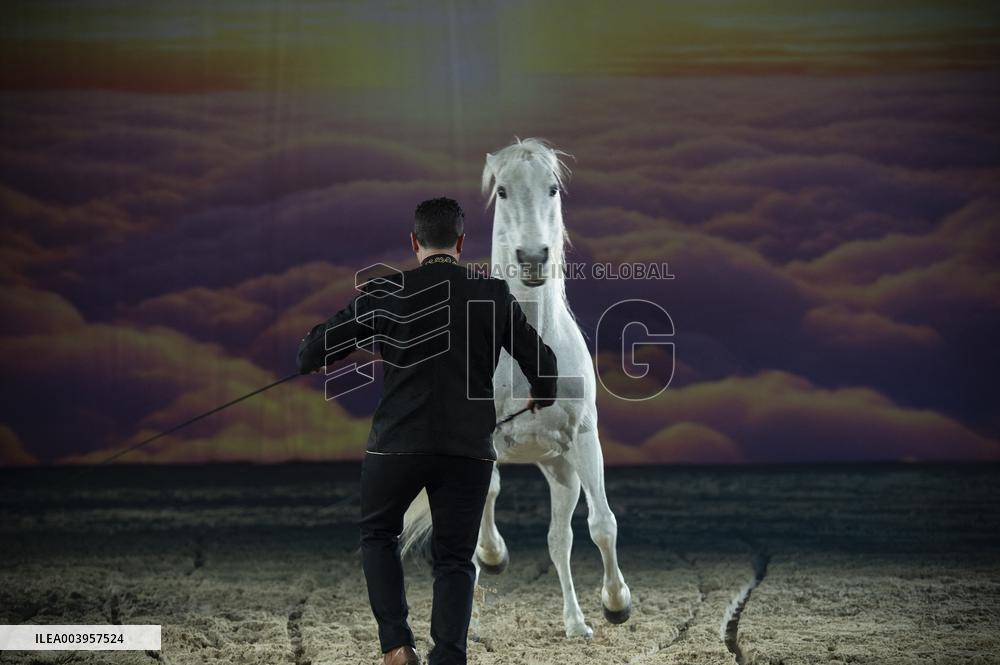 Cheval Passion 2025 - Avignon