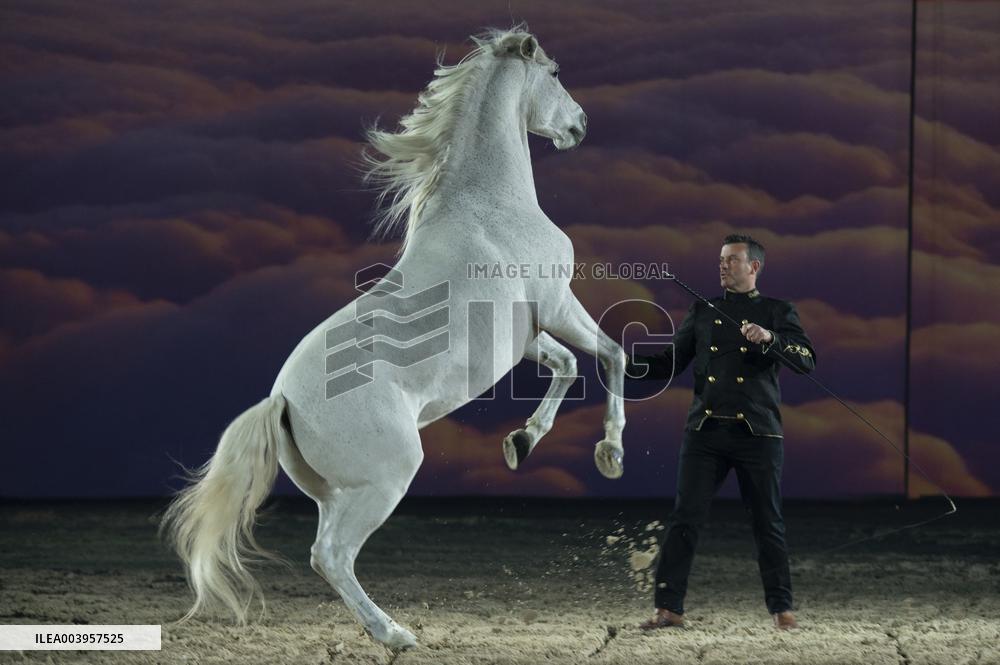 Cheval Passion 2025 - Avignon