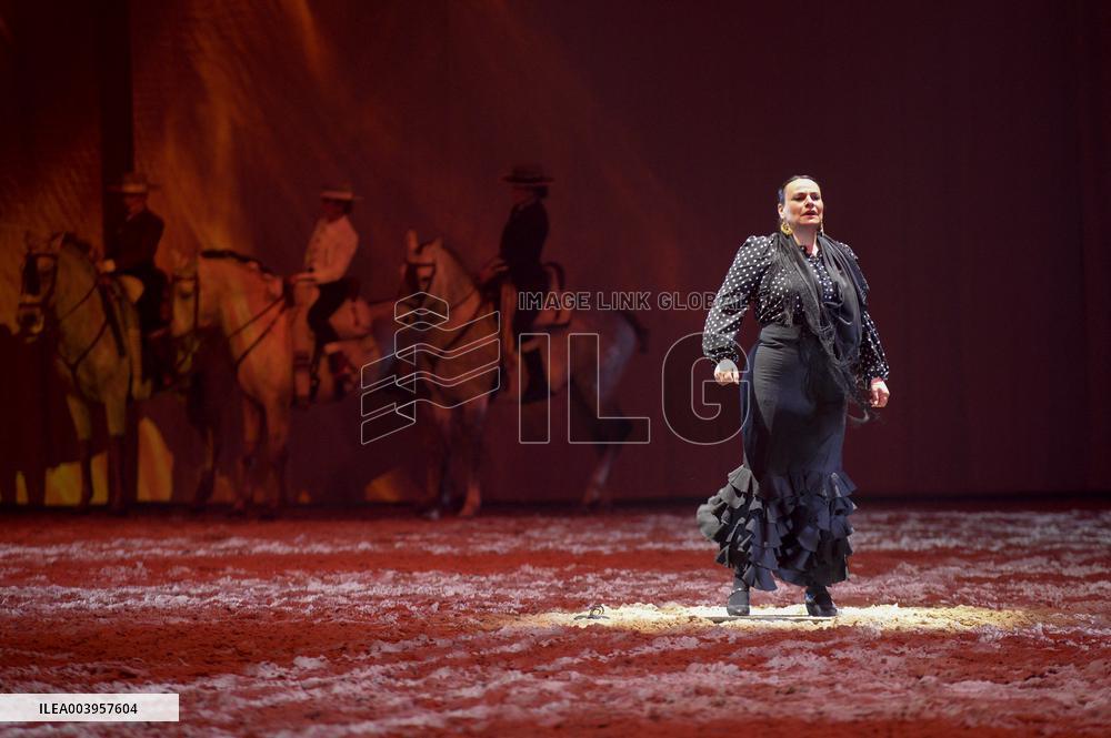 Cheval Passion 2025 - Avignon