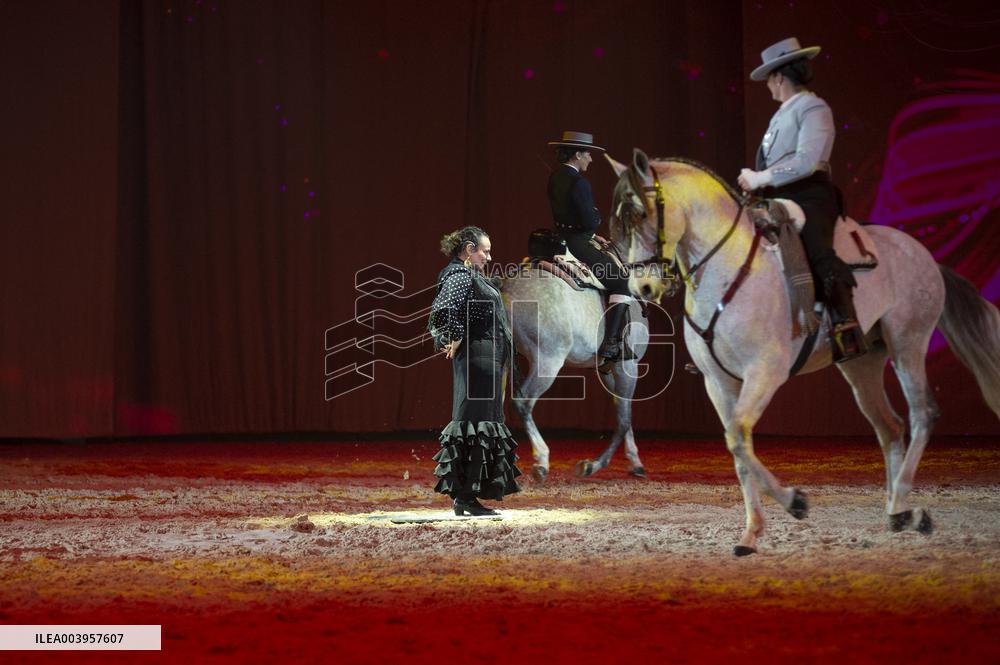 Cheval Passion 2025 - Avignon