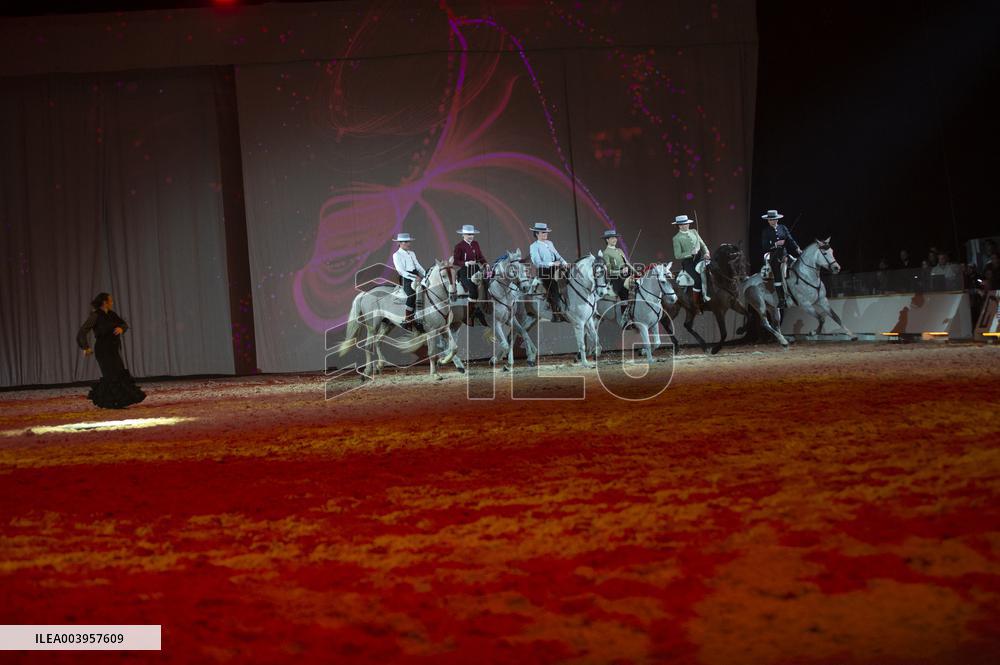 Cheval Passion 2025 - Avignon