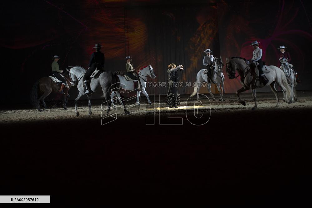 Cheval Passion 2025 - Avignon