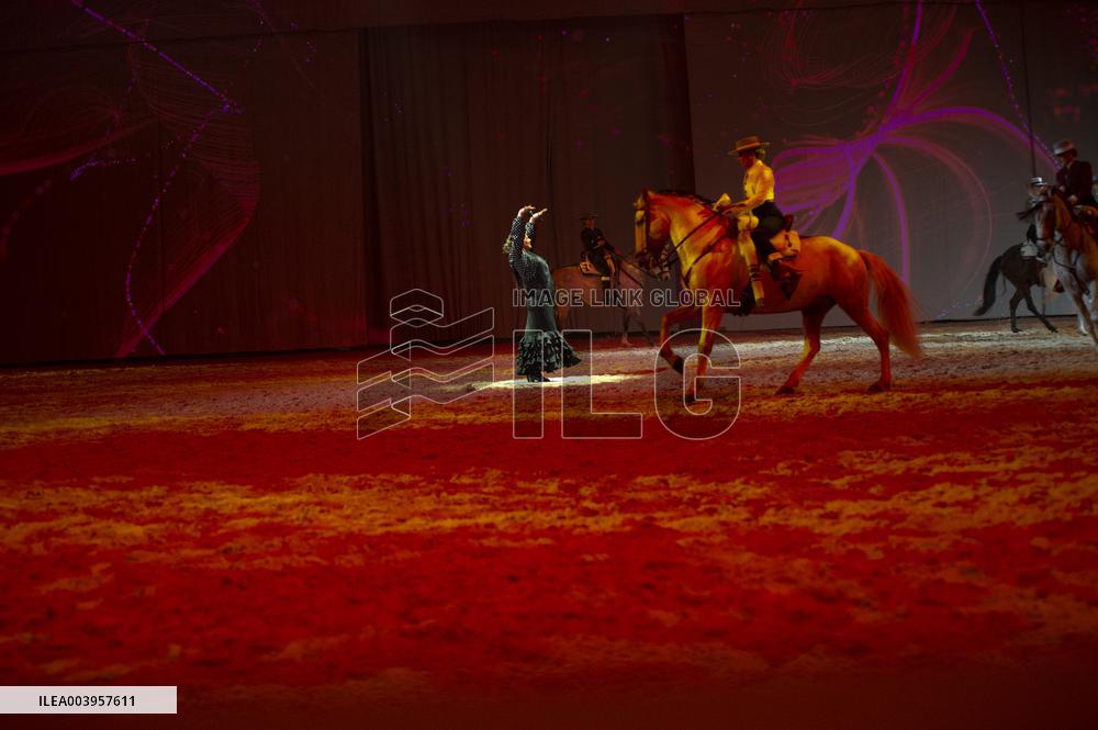 Cheval Passion 2025 - Avignon