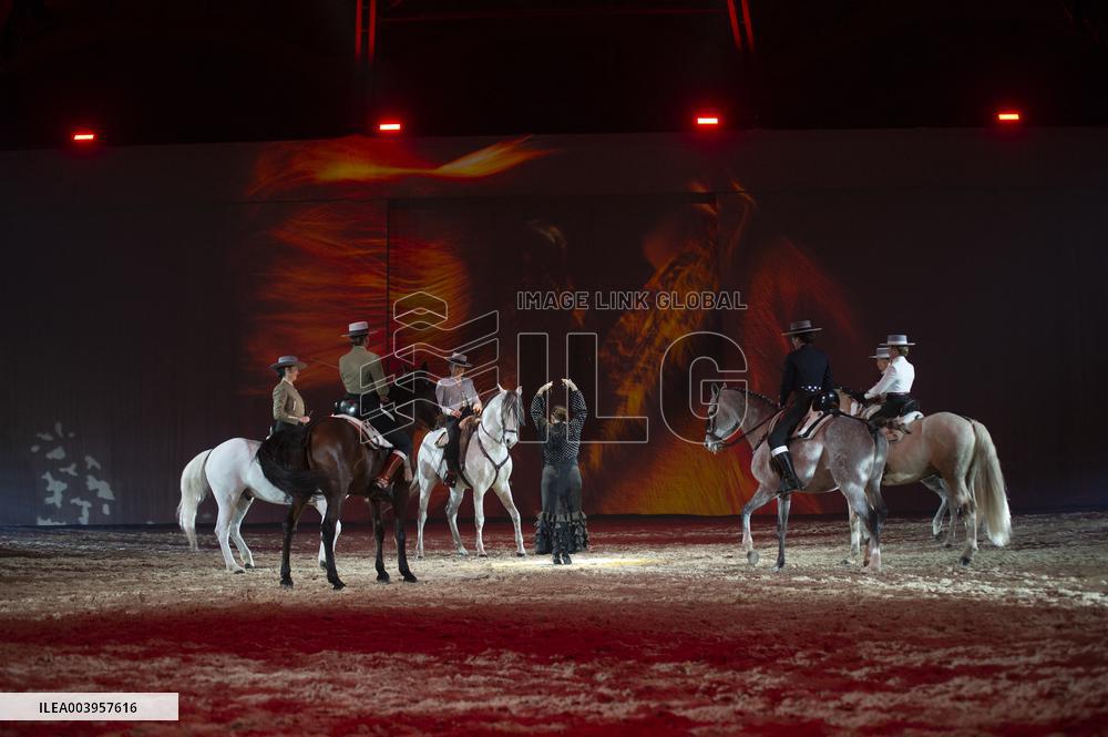 Cheval Passion 2025 - Avignon