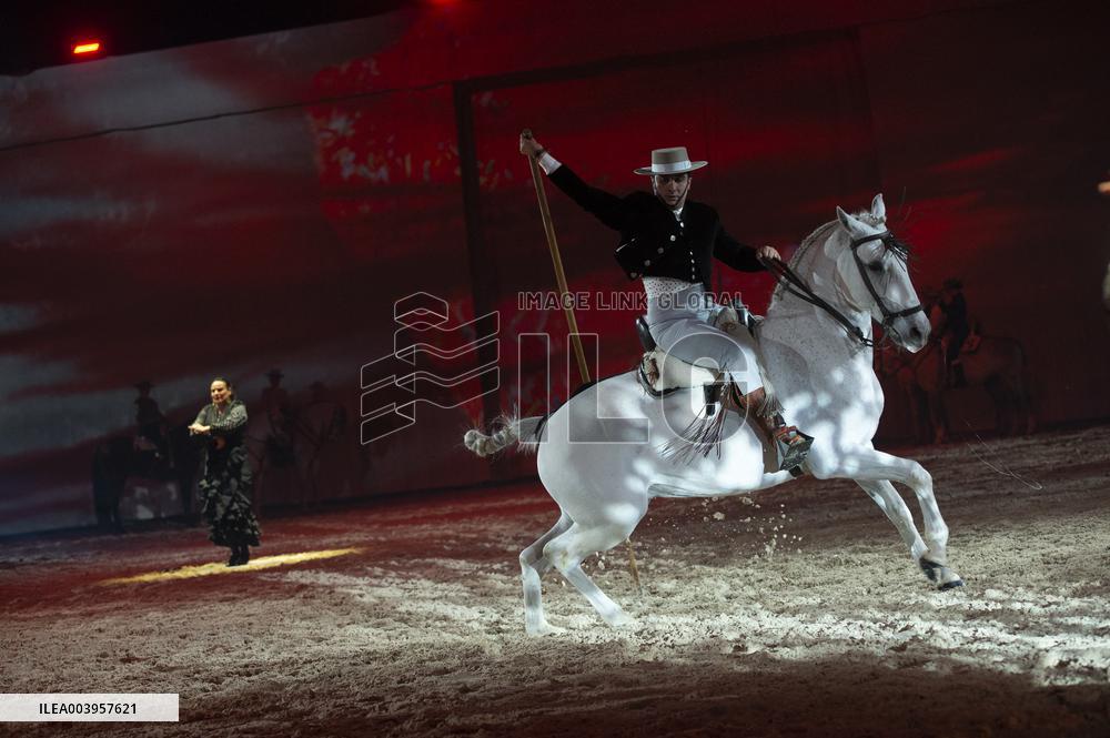 Cheval Passion 2025 - Avignon