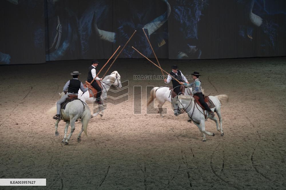 Cheval Passion 2025 - Avignon