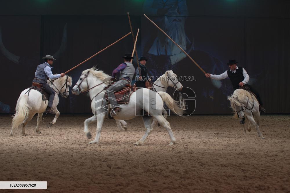 Cheval Passion 2025 - Avignon