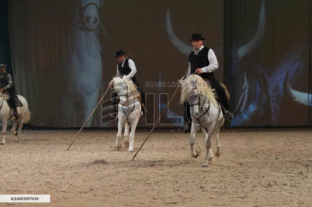 Cheval Passion 2025 - Avignon