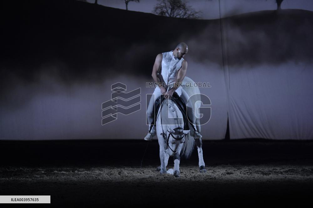 Cheval Passion 2025 - Avignon