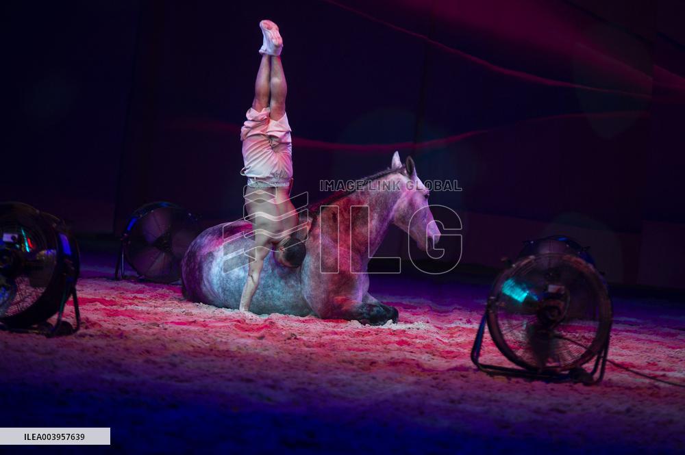 Cheval Passion 2025 - Avignon