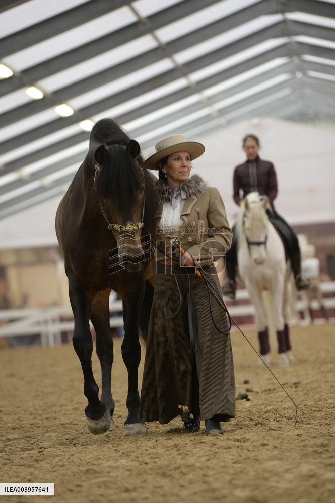 Cheval Passion 2025 - Avignon