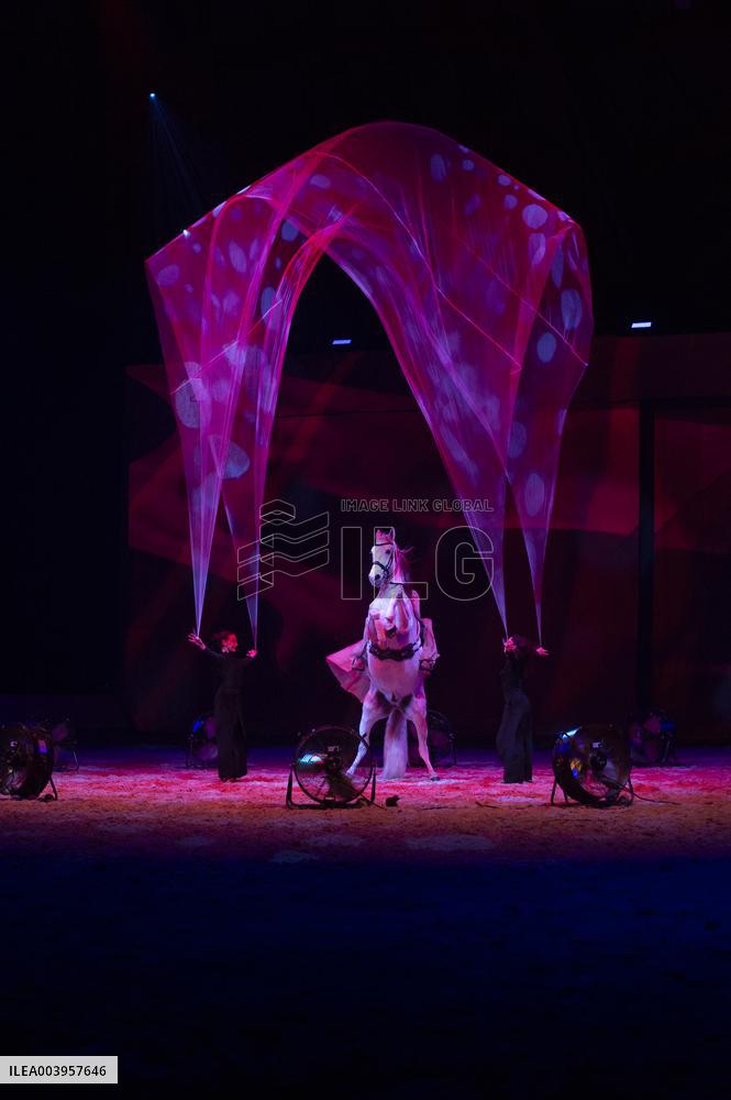 Cheval Passion 2025 - Avignon