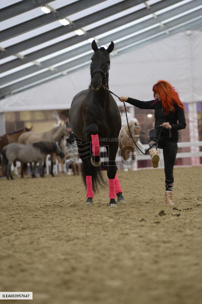 Cheval Passion 2025 - Avignon